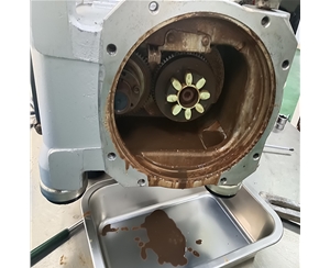 厦门爱德华GXS160真空泵保养维修指南